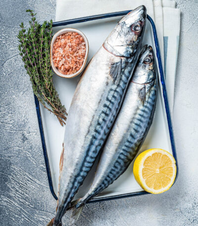 mackerel fish