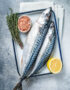 mackerel fish
