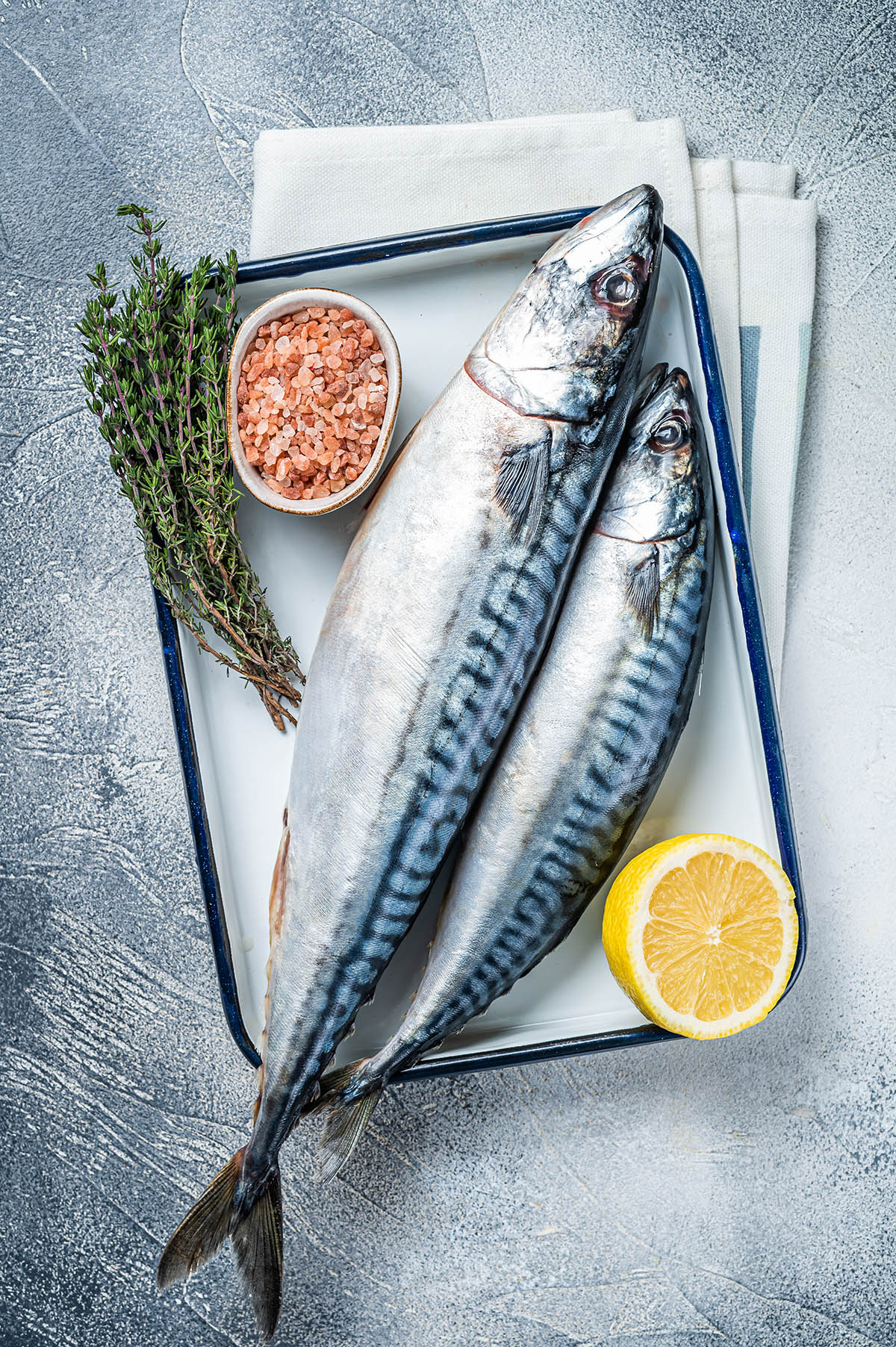 mackerel fish