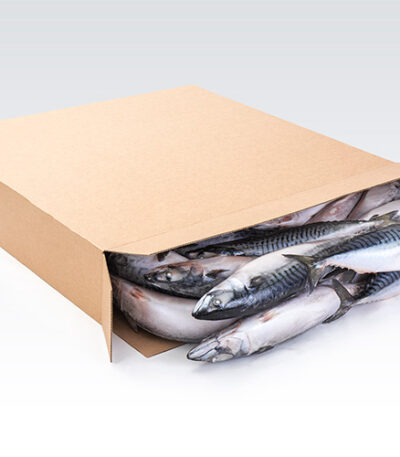 mackerel fish in carton