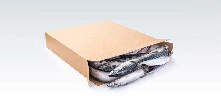mackerel fish in carton