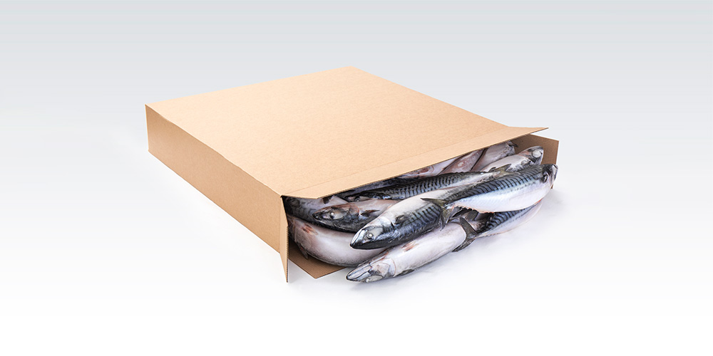 mackerel fish in carton