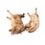 whole goat meat