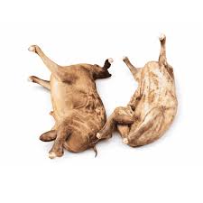 whole goat meat